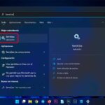 Como deshabilitar información datos en PC en Windows 11