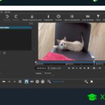 Editor de videos gratis para PC